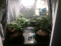 photo33186.jpg