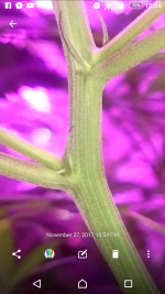 Screenshot_20171127-225459.png
