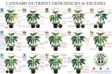 CannabisPoster4000-1.jpg