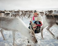 Norway-Sami-People-with-Reindeers.jpg