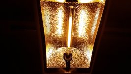 20171110_171217_001.jpg