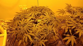 20171111_035730.jpg