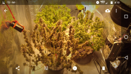 Screenshot_20180105-061059.png