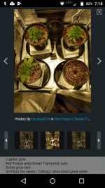 photo36052.png