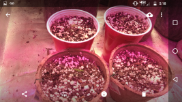 Screenshot_20180108-171804.png