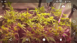 Screenshot_20180108-171850.png