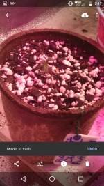 Screenshot_20180108-171755.png