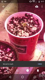 Screenshot_20180108-171749.png