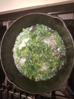 20180121_074632.jpg
