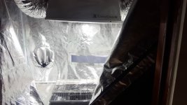 20180126_090524.jpg