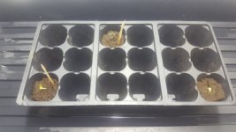 20180127_061048.jpg