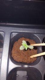 20180128_144937.jpg