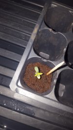 20180128_144919.jpg
