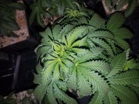 20180213_143520.jpg