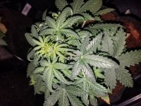 20180213_143419.jpg