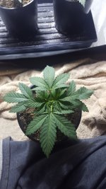 20180216_180328.jpg