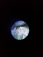 20180223_215317.jpg