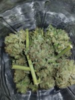 20180226_021633.jpg