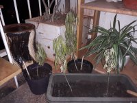 20180307_215811.jpg