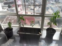 20180306_091625.jpg