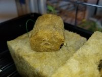 20180310_011241.jpg