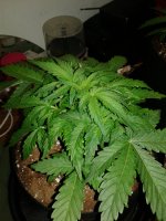 photo42026.jpg