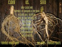 taproot.jpg