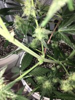 photo4458.JPG