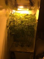 photo4578.JPG