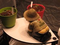 IMG_1315.JPG