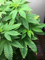 photo5134.jpeg