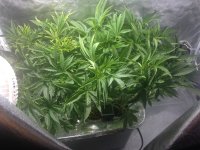photo5184.JPG