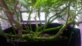 20161219_104536.jpg
