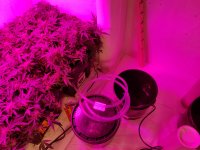 20180315_013116.jpg