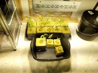 20180316_003148.jpg