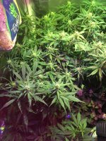 photo42922.jpg