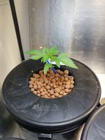 20180323_164757.jpg