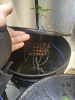 20180324_013114.jpg