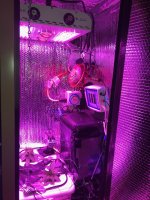 IMG_8022.jpg