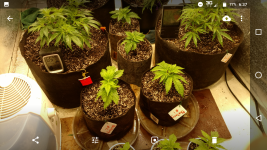 Screenshot_20180330-063718.png