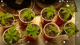 Screenshot_20180330-063710.png
