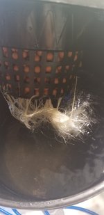 20180402_003713.jpg