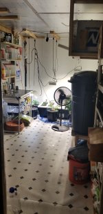 20180402_010546.jpg 20180402_010546.jpg