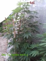 2017-07-09-01-45-14.jpg