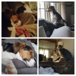 20180407_011738-COLLAGE.jpg