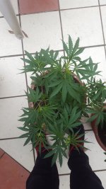 20180405_123458.jpg