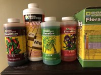 photo44952.jpg