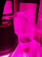 20180413_172221.jpg