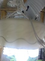 20180414_225130.jpg