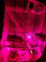 20180415_161400.jpg
